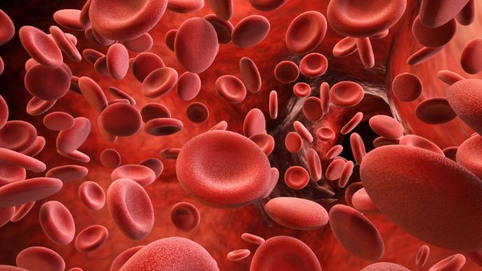 Illustration 3D globules rouges