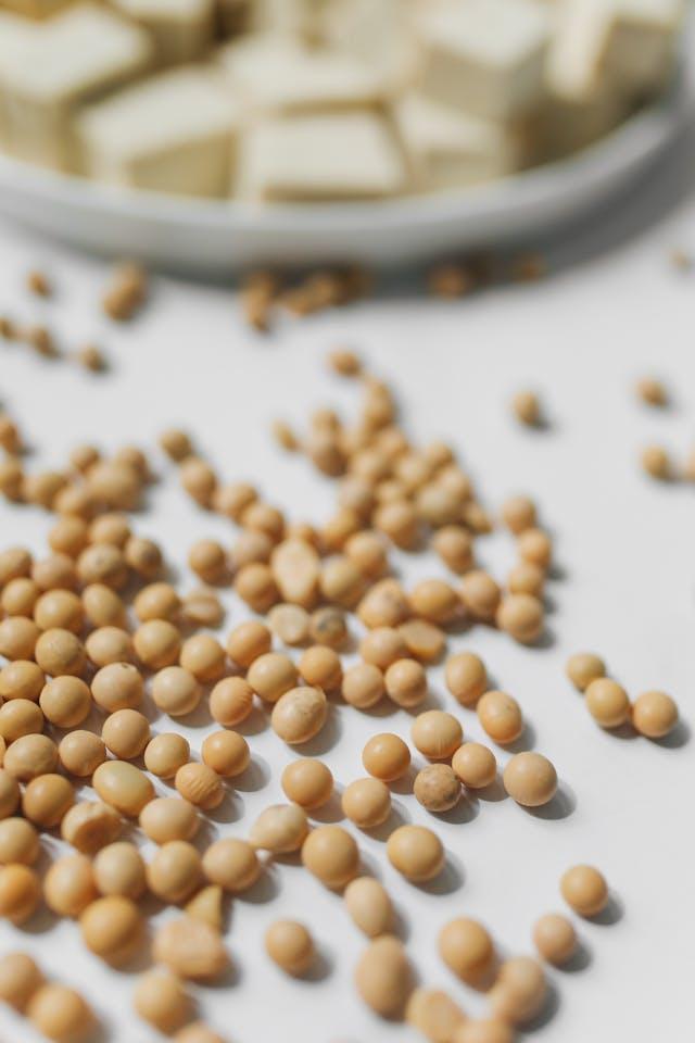 Graines de soja avec en arrière-plan flou tofu dans assiette blanche