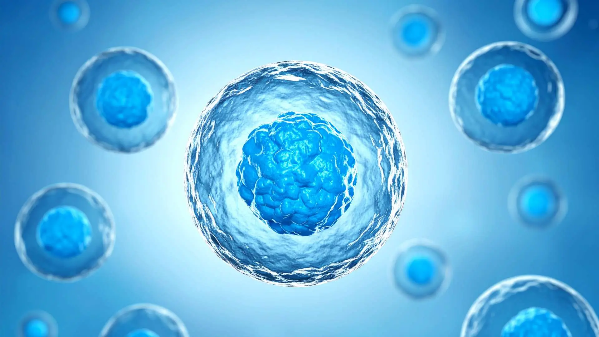 Vue 3D cellules bleues corps humain