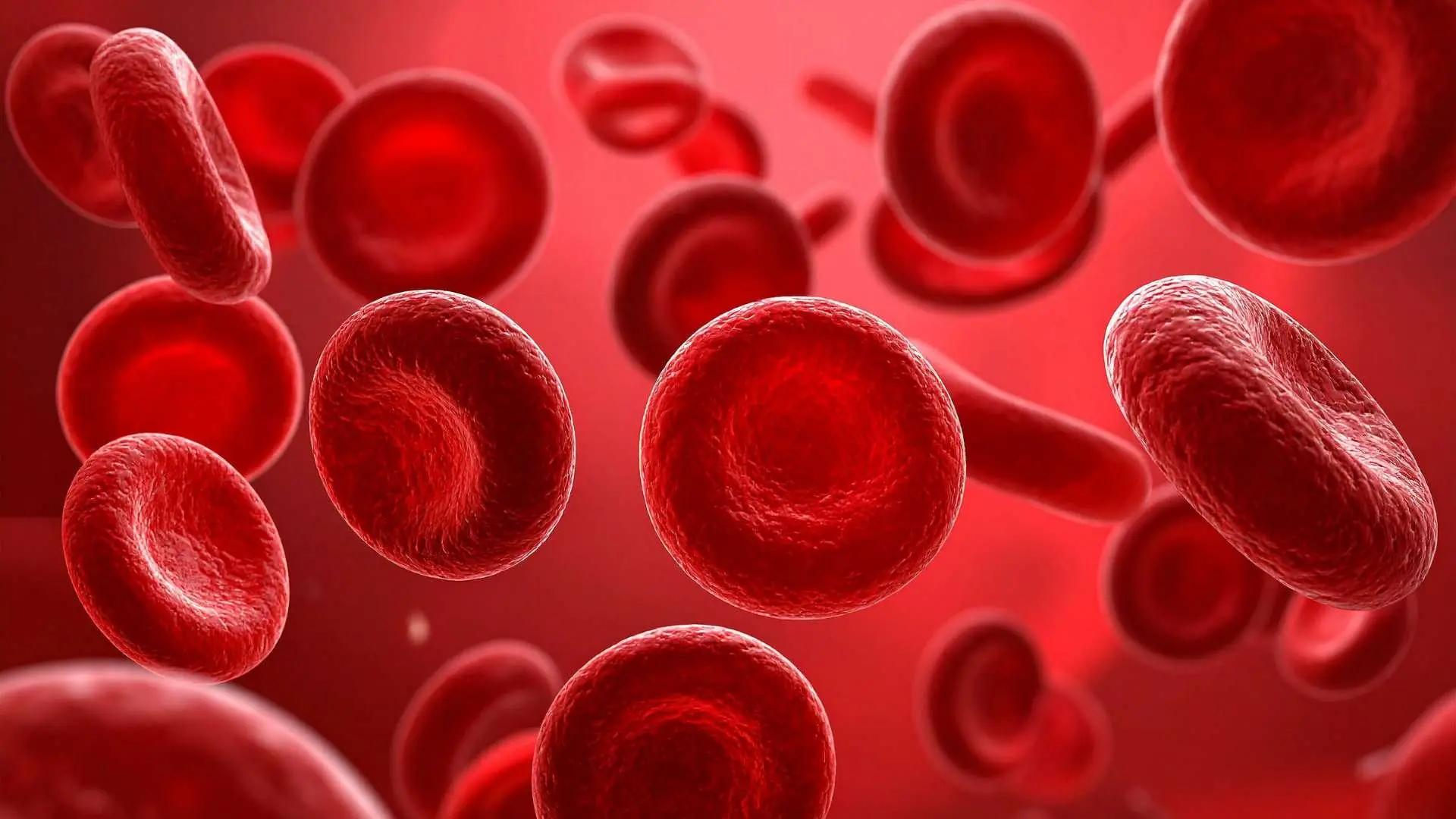 Vue 3D globules rouges