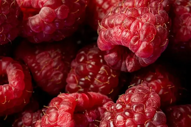 Gros plan framboises riches en Urolithine  A