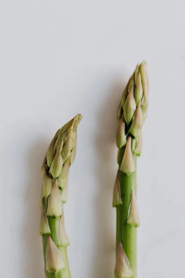 Vue de haut deux têtes d'asperges vertes