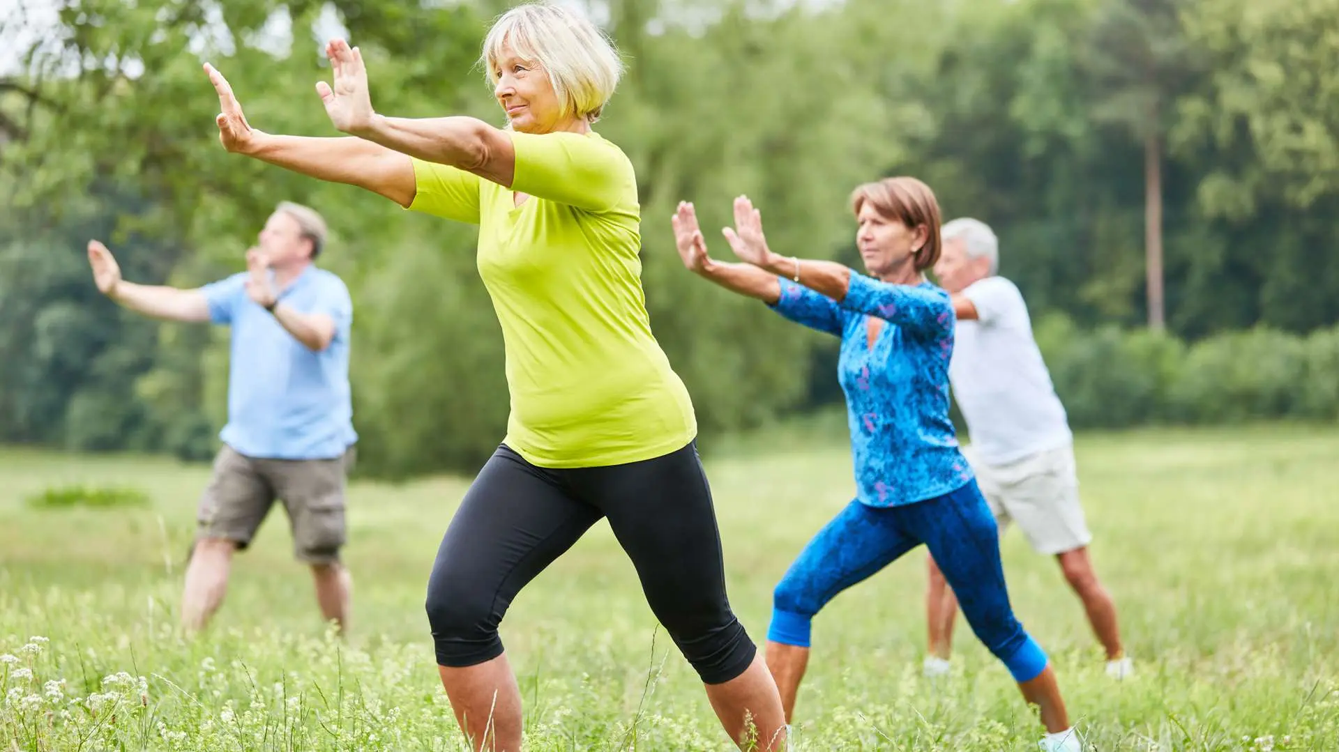 Deux femmes et deux hommes seniors en tenue de sport faisant du tai chio dans l'herbe avec des arbres en arrière-plan